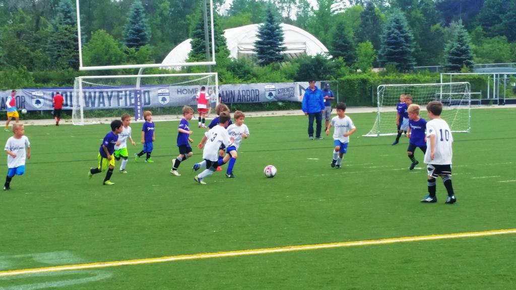 Match photo from AFC Ann Arbor men versus Lansing United (2015-06-07).